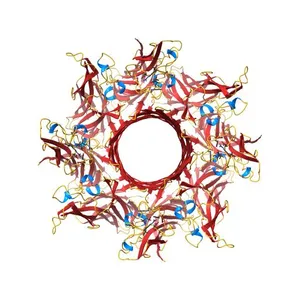 Crystal structure of octameric pore form of gamma-hemolysin from Staphylococcus aureus