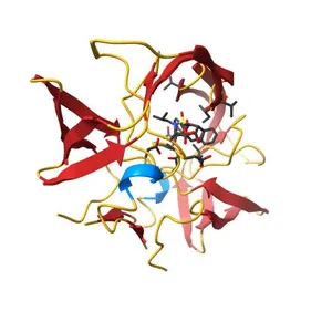 Crystal Structure of Multi-drug Resistant HIV-1 Protease PR-S17 in Complex with Darunavir