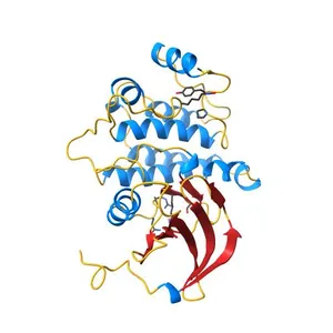 THE KINASE DOMAIN OF HUMAN LYMPHOCYTE KINASE (LCK), ACTIVATED FORM (AUTO-PHOSPHORYLATED ON TYR394)