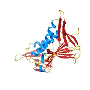 Structure of split yeast PCNA