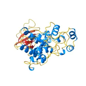 STRUCTURE OF SIGNAL-REGULATED KINASE