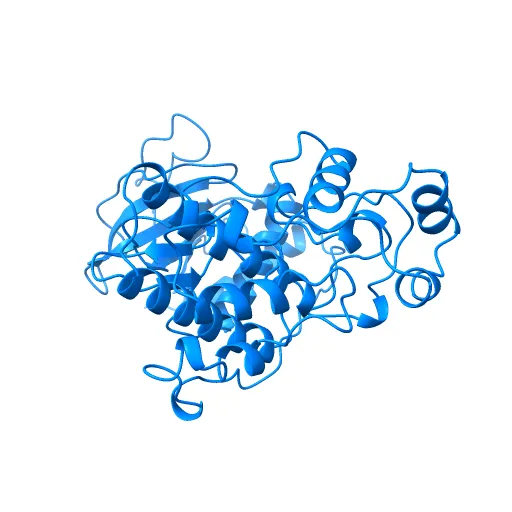 STRUCTURE OF SIGNAL-REGULATED KINASE — Фото 4 из 13