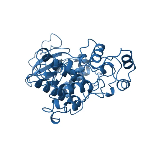 STRUCTURE OF SIGNAL-REGULATED KINASE — Фото 5 из 13