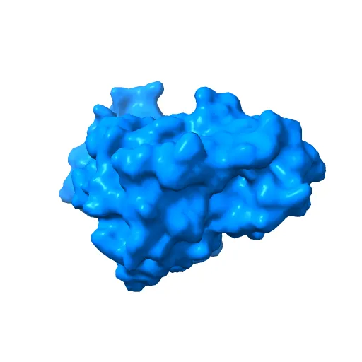 STRUCTURE OF SIGNAL-REGULATED KINASE — Фото 6 из 13
