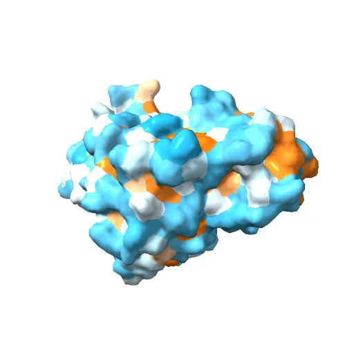 STRUCTURE OF SIGNAL-REGULATED KINASE — Фото 7 из 13