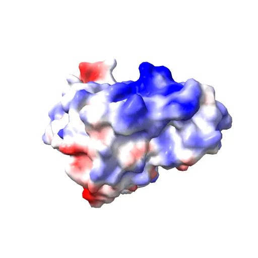STRUCTURE OF SIGNAL-REGULATED KINASE — Фото 8 из 13
