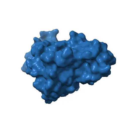 STRUCTURE OF SIGNAL-REGULATED KINASE — Фото 12 из 13