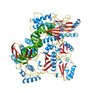 Crystal structure of HIV-1 reverse transcriptase (RT) with DNA and the nonnucleoside inhibitor nevirapine