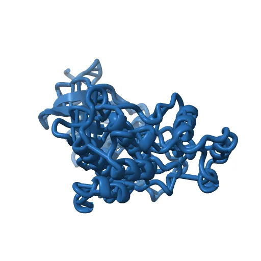 PHOSPHORYLATED MAP KINASE ERK2 — Image 2 of 13