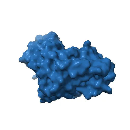 PHOSPHORYLATED MAP KINASE ERK2 — Image 3 of 13