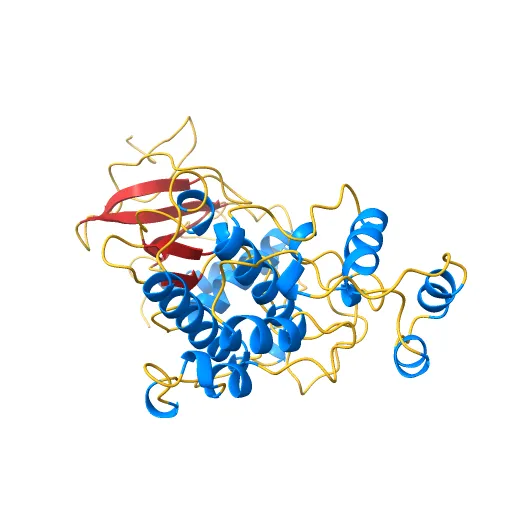 PHOSPHORYLATED MAP KINASE ERK2 — Image 5 of 13