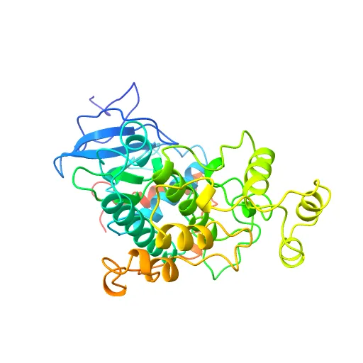 PHOSPHORYLATED MAP KINASE ERK2 — Image 6 of 13