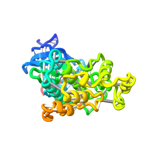 PHOSPHORYLATED MAP KINASE ERK2 — Image 7 of 13