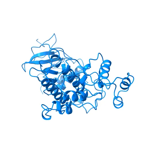 PHOSPHORYLATED MAP KINASE ERK2 — Image 8 of 13