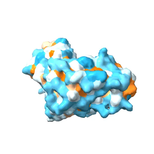 PHOSPHORYLATED MAP KINASE ERK2 — Image 10 of 13