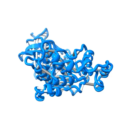 PHOSPHORYLATED MAP KINASE ERK2 — Image 11 of 13