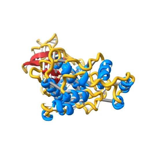PHOSPHORYLATED MAP KINASE ERK2 — Image 13 of 13