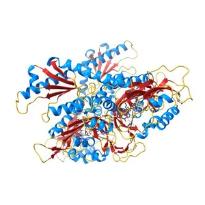 Crystal structure of human prolyl-tRNA synthetase (substrate bound form)