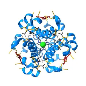 Crystallographic and solution studies of N-lithocholyl insulin: a new generation of prolonged-acting insulins.