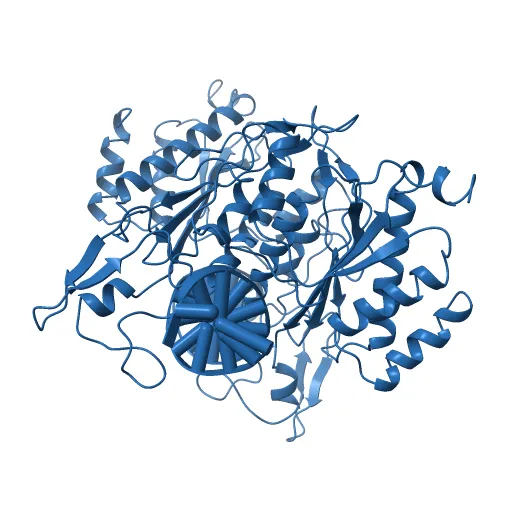 X-RAY STRUCTURE OF THE DNA-ECO RI ENDONUCLEASE-DNA RECOGNITION COMPLEX: THE RECOGNITION NETWORK AND THE INTEGRATION OF RECOGNITION AND CLEAVAGE — Image 2 of 13
