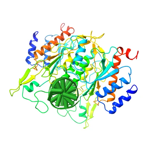 X-RAY STRUCTURE OF THE DNA-ECO RI ENDONUCLEASE-DNA RECOGNITION COMPLEX: THE RECOGNITION NETWORK AND THE INTEGRATION OF RECOGNITION AND CLEAVAGE — Image 4 of 13