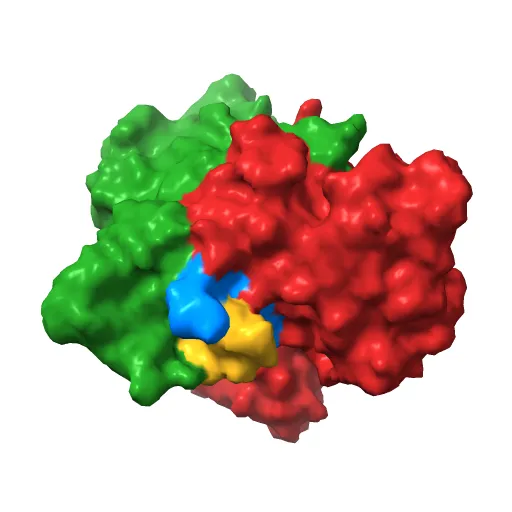 X-RAY STRUCTURE OF THE DNA-ECO RI ENDONUCLEASE-DNA RECOGNITION COMPLEX: THE RECOGNITION NETWORK AND THE INTEGRATION OF RECOGNITION AND CLEAVAGE — Image 5 of 13