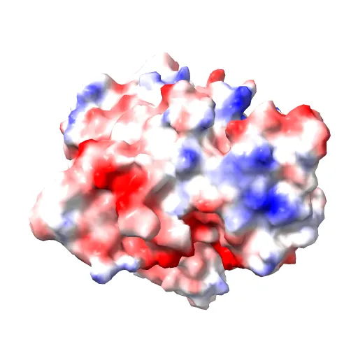 X-RAY STRUCTURE OF THE DNA-ECO RI ENDONUCLEASE-DNA RECOGNITION COMPLEX: THE RECOGNITION NETWORK AND THE INTEGRATION OF RECOGNITION AND CLEAVAGE — Image 6 of 13
