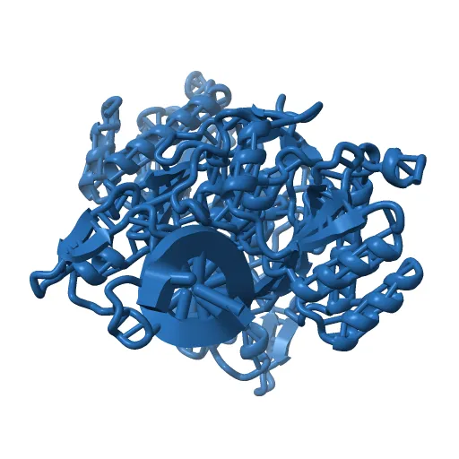 X-RAY STRUCTURE OF THE DNA-ECO RI ENDONUCLEASE-DNA RECOGNITION COMPLEX: THE RECOGNITION NETWORK AND THE INTEGRATION OF RECOGNITION AND CLEAVAGE — Image 9 of 13