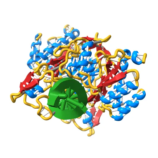 X-RAY STRUCTURE OF THE DNA-ECO RI ENDONUCLEASE-DNA RECOGNITION COMPLEX: THE RECOGNITION NETWORK AND THE INTEGRATION OF RECOGNITION AND CLEAVAGE — Image 10 of 13