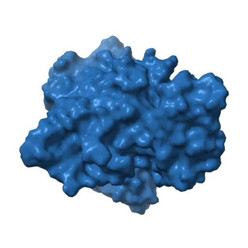 X-RAY STRUCTURE OF THE DNA-ECO RI ENDONUCLEASE-DNA RECOGNITION COMPLEX: THE RECOGNITION NETWORK AND THE INTEGRATION OF RECOGNITION AND CLEAVAGE — Image 11 of 13