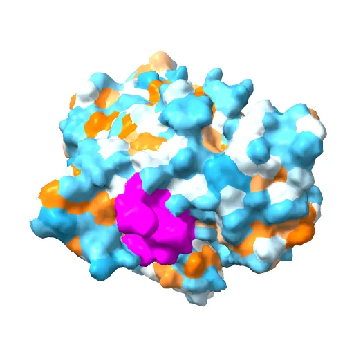 X-RAY STRUCTURE OF THE DNA-ECO RI ENDONUCLEASE-DNA RECOGNITION COMPLEX: THE RECOGNITION NETWORK AND THE INTEGRATION OF RECOGNITION AND CLEAVAGE — Image 12 of 13