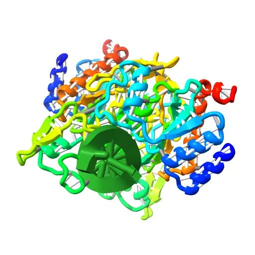 X-RAY STRUCTURE OF THE DNA-ECO RI ENDONUCLEASE-DNA RECOGNITION COMPLEX: THE RECOGNITION NETWORK AND THE INTEGRATION OF RECOGNITION AND CLEAVAGE — Image 13 of 13