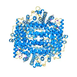 THE CRYSTAL STRUCTURE OF DPS, A FERRITIN HOMOLOG THAT BINDS AND PROTECTS DNA