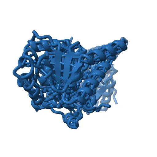 L-3-HYDROXYACYL-COA DEHYDROGENASE COMPLEXED WITH ACETOACETYL-COA AND NAD+ — Фото 2 из 13