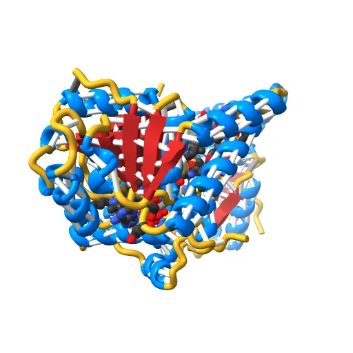 L-3-HYDROXYACYL-COA DEHYDROGENASE COMPLEXED WITH ACETOACETYL-COA AND NAD+ — Фото 3 из 13