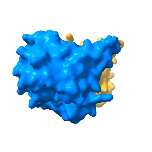 L-3-HYDROXYACYL-COA DEHYDROGENASE COMPLEXED WITH ACETOACETYL-COA AND NAD+ — Фото 4 из 13