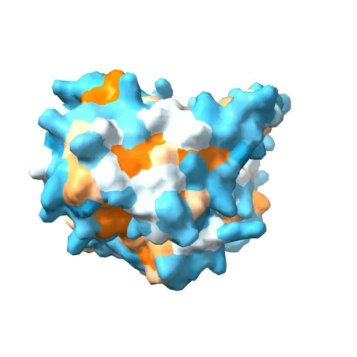 L-3-HYDROXYACYL-COA DEHYDROGENASE COMPLEXED WITH ACETOACETYL-COA AND NAD+ — Фото 5 из 13