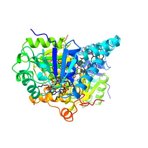 L-3-HYDROXYACYL-COA DEHYDROGENASE COMPLEXED WITH ACETOACETYL-COA AND NAD+ — Фото 6 из 13