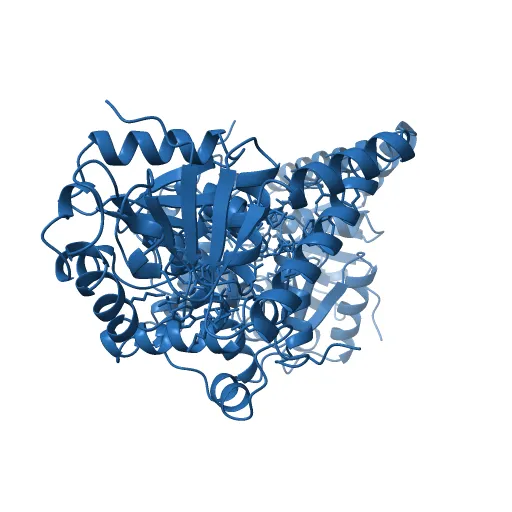 L-3-HYDROXYACYL-COA DEHYDROGENASE COMPLEXED WITH ACETOACETYL-COA AND NAD+ — Фото 7 из 13