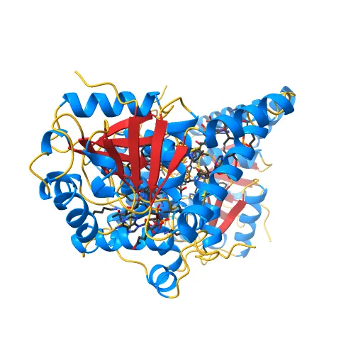 L-3-HYDROXYACYL-COA DEHYDROGENASE COMPLEXED WITH ACETOACETYL-COA AND NAD+ — Фото 8 из 13