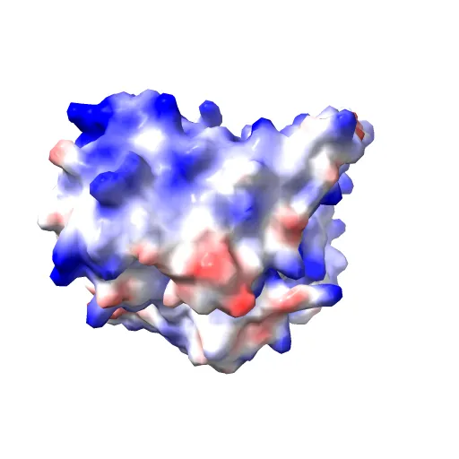 L-3-HYDROXYACYL-COA DEHYDROGENASE COMPLEXED WITH ACETOACETYL-COA AND NAD+ — Фото 10 из 13