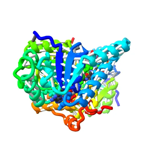 L-3-HYDROXYACYL-COA DEHYDROGENASE COMPLEXED WITH ACETOACETYL-COA AND NAD+ — Фото 12 из 13