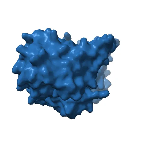 L-3-HYDROXYACYL-COA DEHYDROGENASE COMPLEXED WITH ACETOACETYL-COA AND NAD+ — Фото 13 из 13