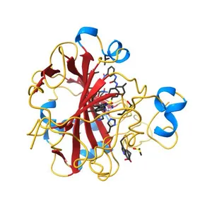 Carbonic Anhydrase IX-mimic IN Complex WITH U-NO2