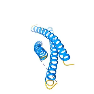 Crystal structure of a rationally designed single-chain protein mimicking a trimeric gp41 N-terminal heptad-repeat region