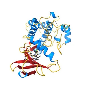 Lyn Tyrosine Kinase Domain-Dasatinib complex