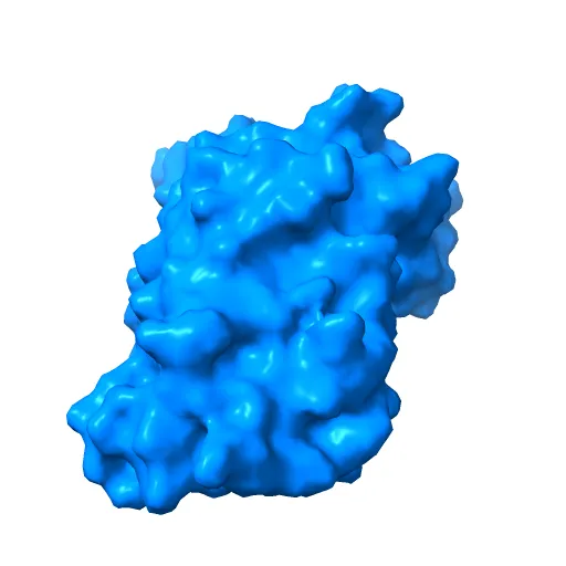 Lyn Tyrosine Kinase Domain-Dasatinib complex — Image 2 of 13