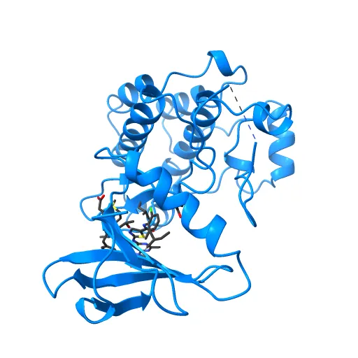 Lyn Tyrosine Kinase Domain-Dasatinib complex — Image 3 of 13
