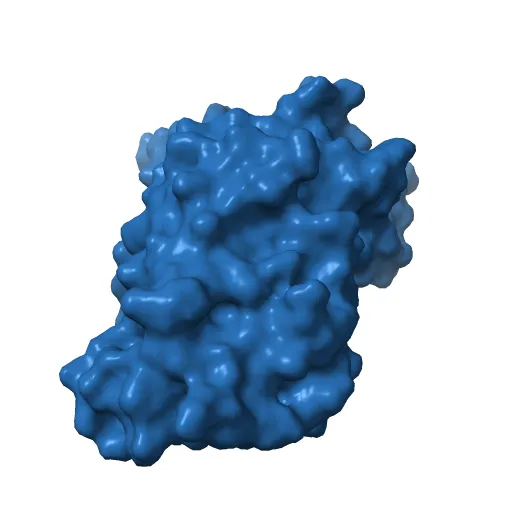 Lyn Tyrosine Kinase Domain-Dasatinib complex — Image 4 of 13