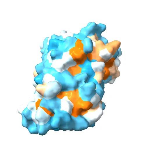 Lyn Tyrosine Kinase Domain-Dasatinib complex — Image 5 of 13
